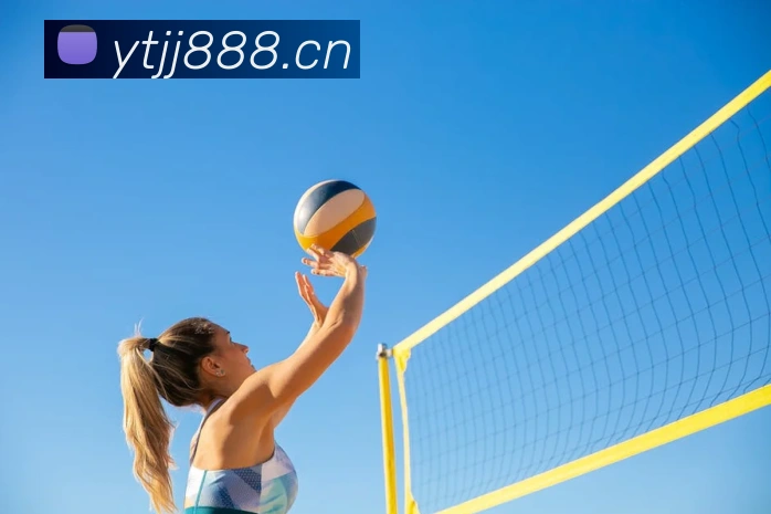 辅助工具 辅助工具